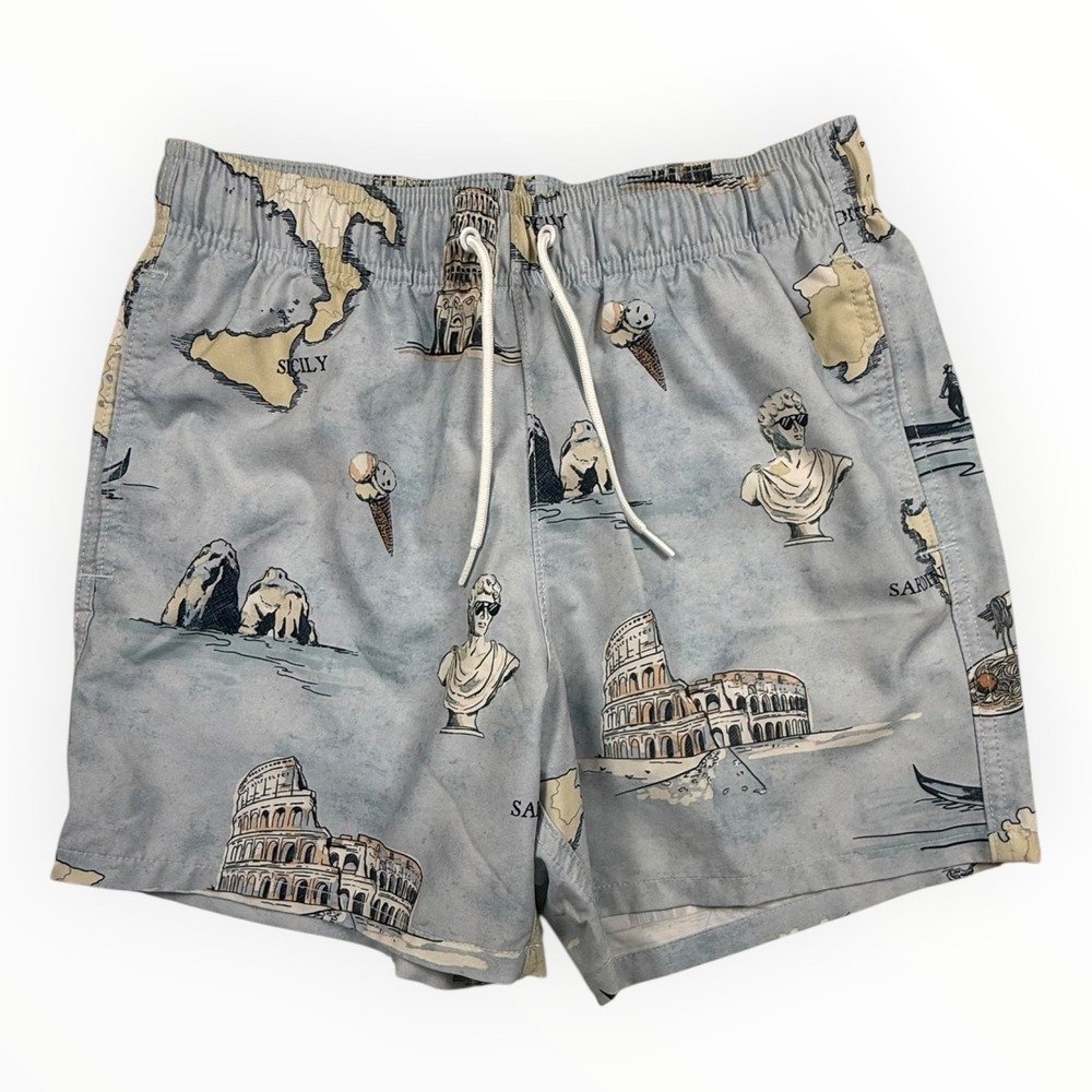 Hollister Swim Trunks Men Small Blue Excellent Italy Print 4-Way Stretch Shorts